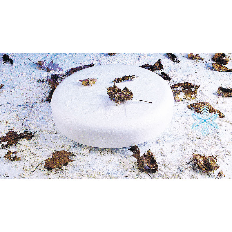 Eisfreihalter für den Teich