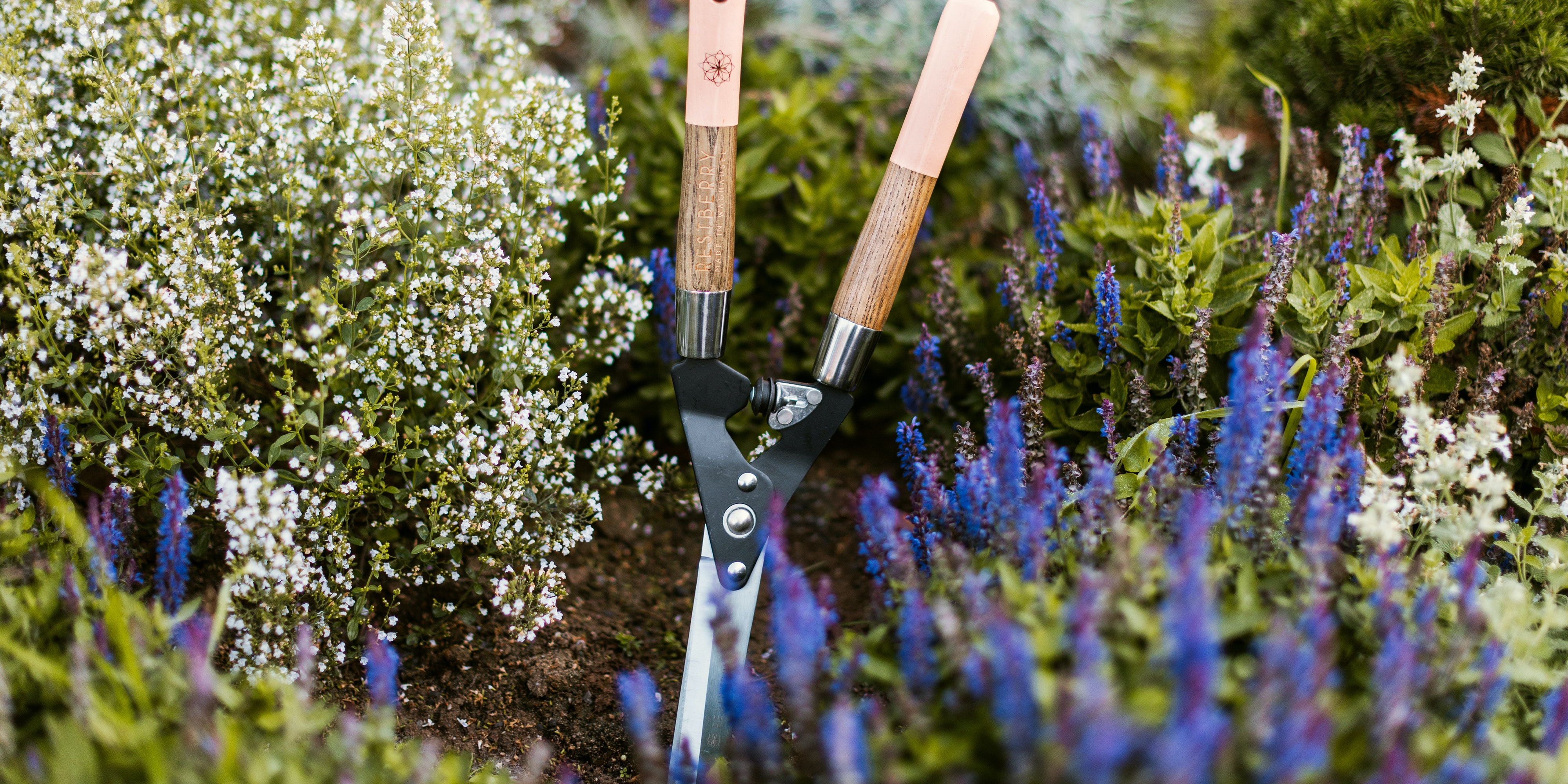 Gartenscheren & Astscheren