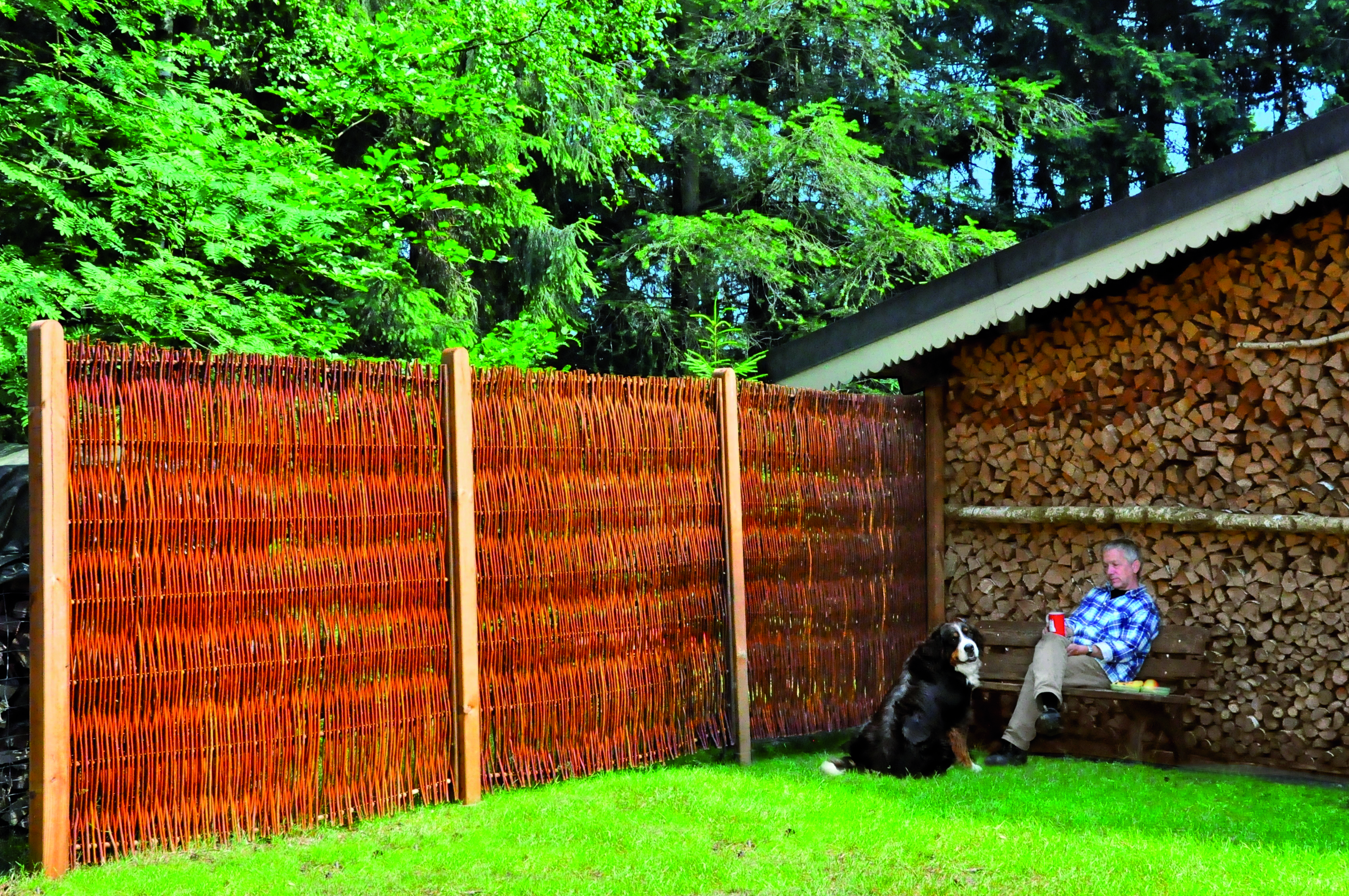 T&J FUEGO Natürlicher Sichtschutz Zaun