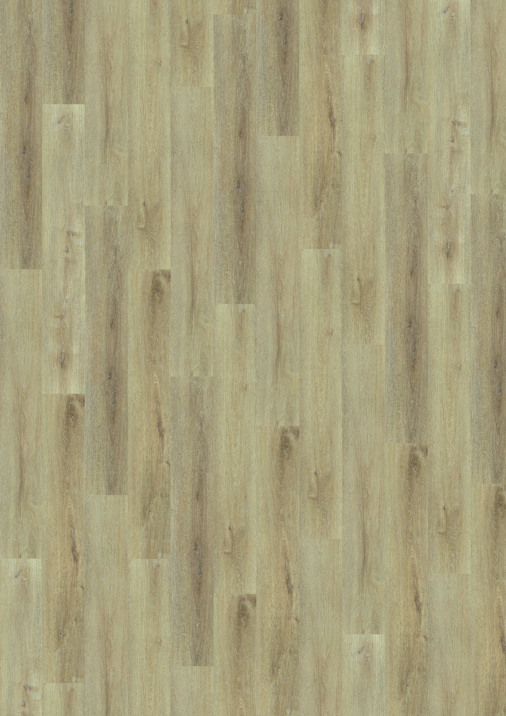 KWG Trend Designboden