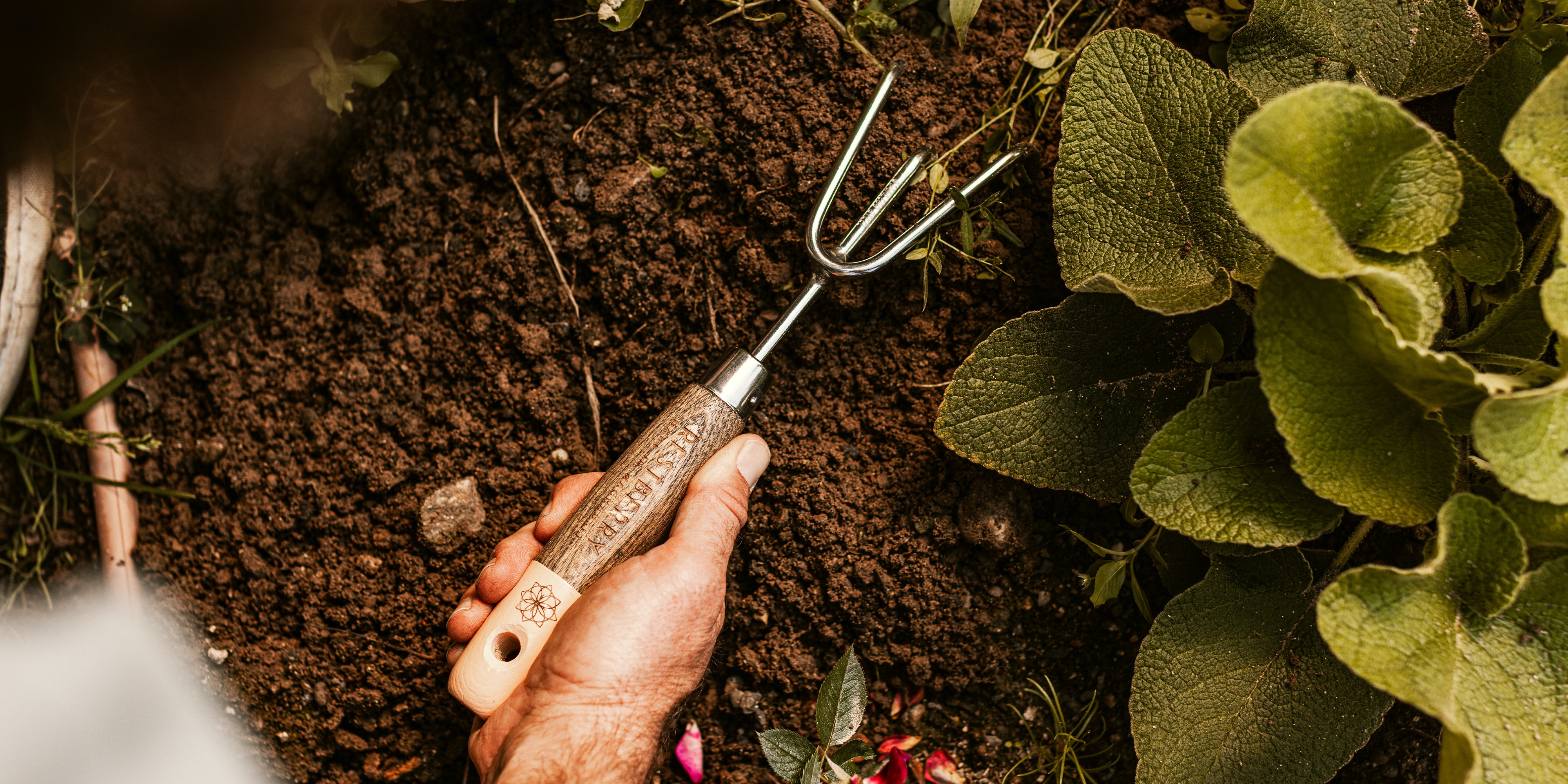 Hacken & Grubber & Krallen