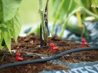 Vorschau Produktbild