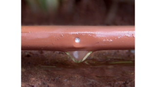 Vitavia Bewässerung für Gewächshäuser