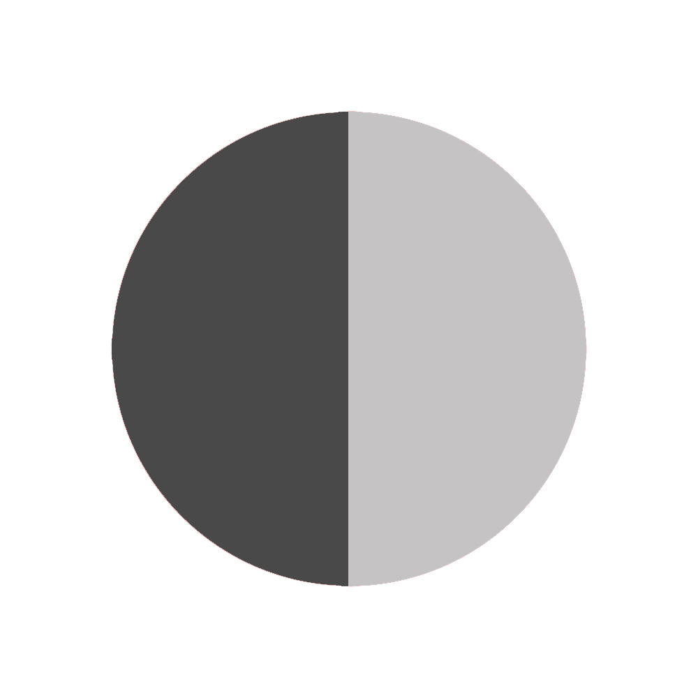 Rahmen: dunkelgrau-metallic / Dachlamellen: silber-metallic Varianten Bild