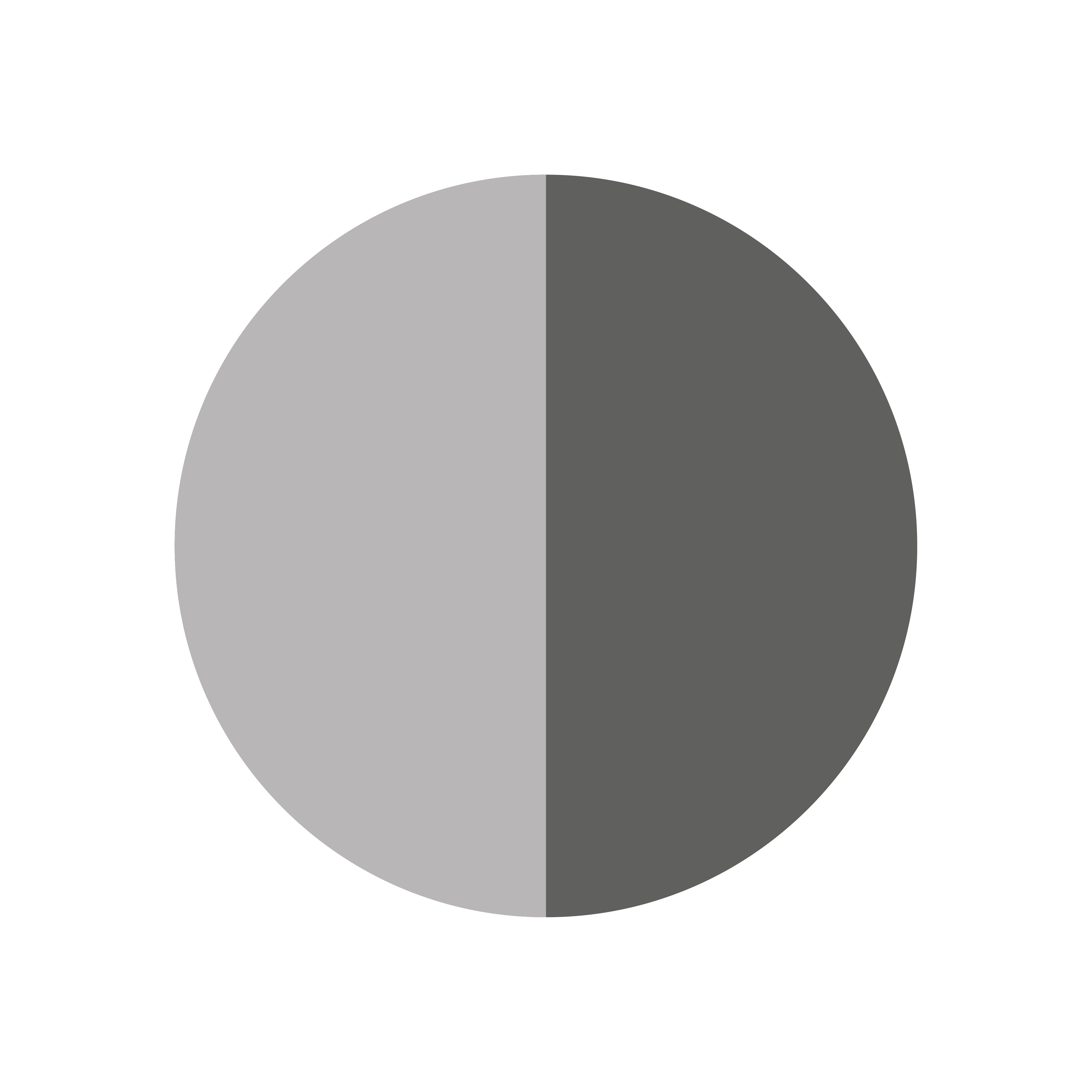 Hellgrau / Dunkelgrau Varianten Bild