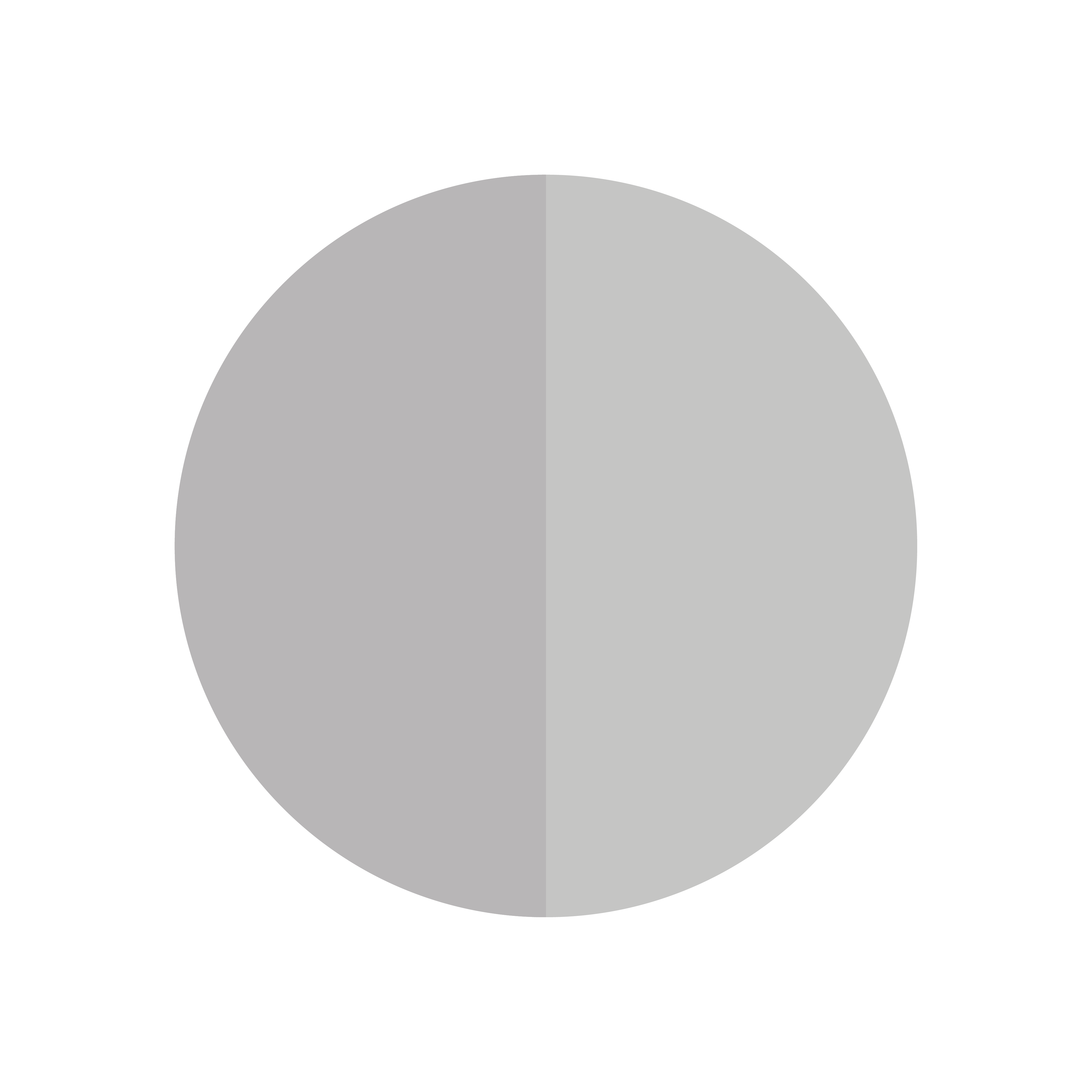 Hellgrau / Hellgrau Varianten Bild