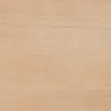 Hemlock Varianten Bild