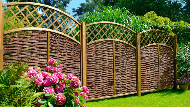 T&J Natürlicher Sichtschutz