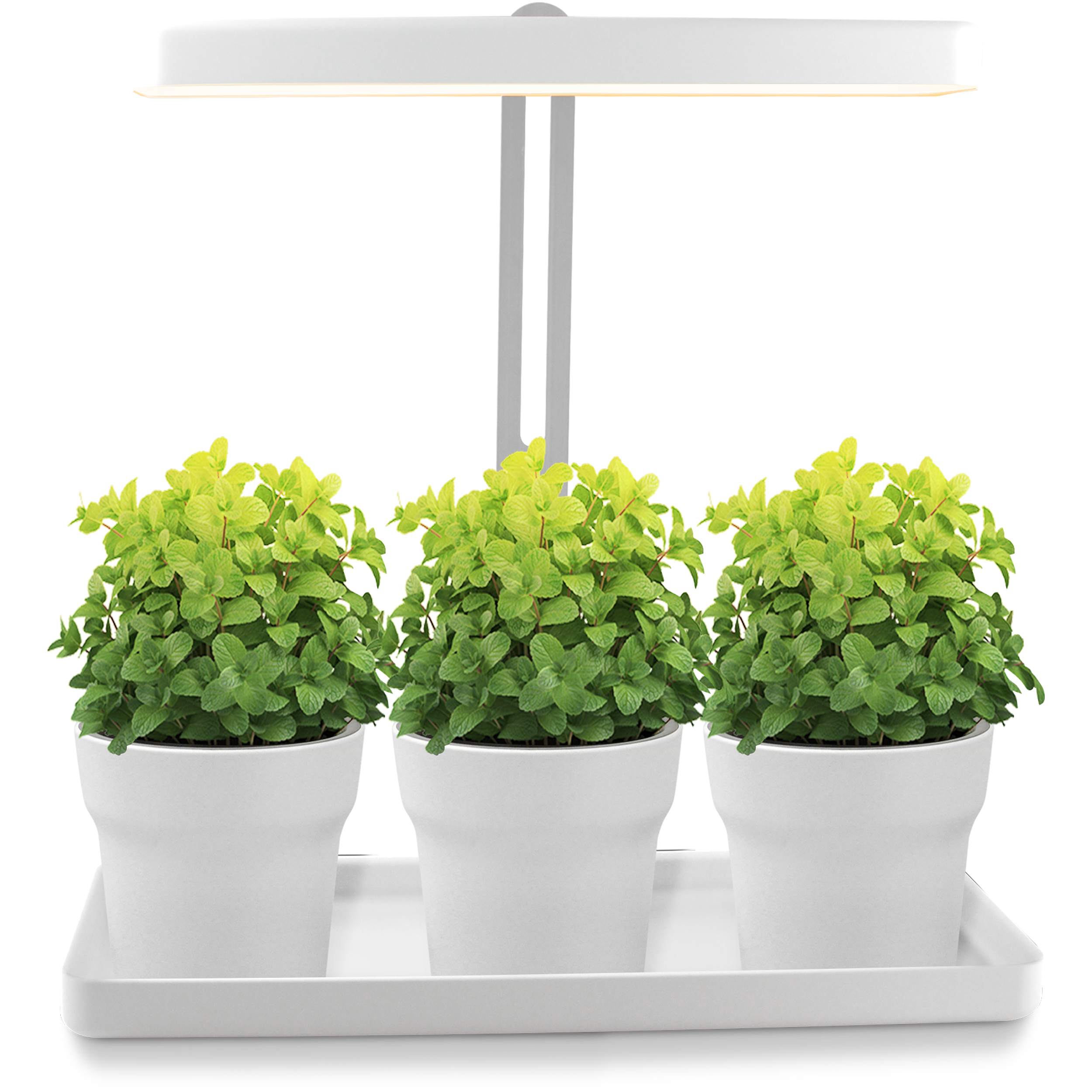 Weiteres für die Küche