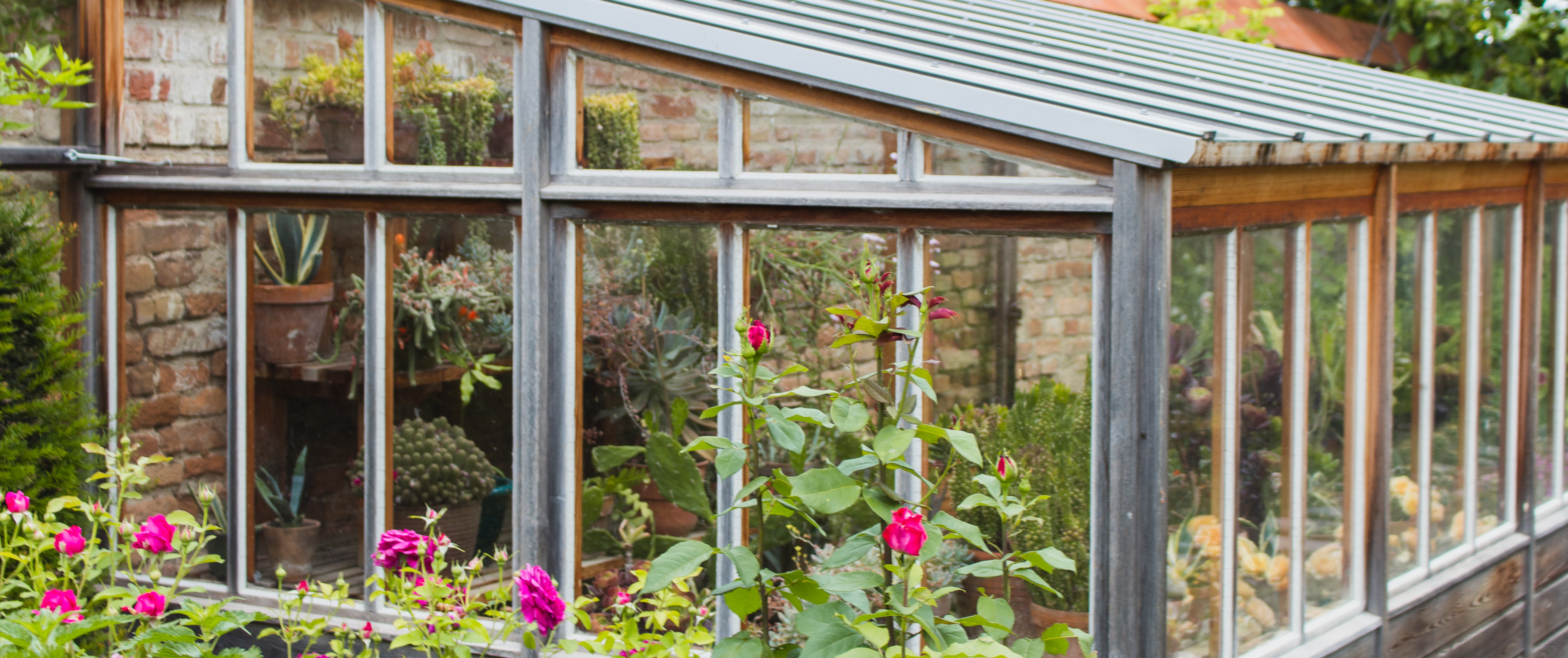 Anlehngewächshaus: 10 Vorteile