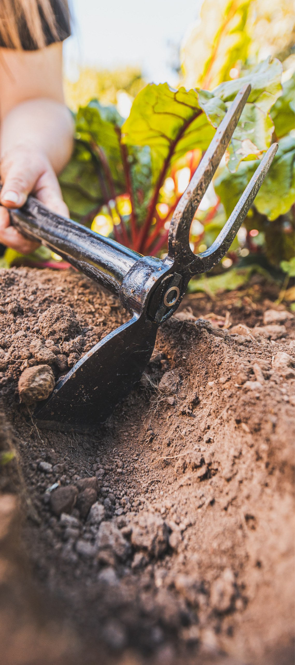 Produktfreisteller links