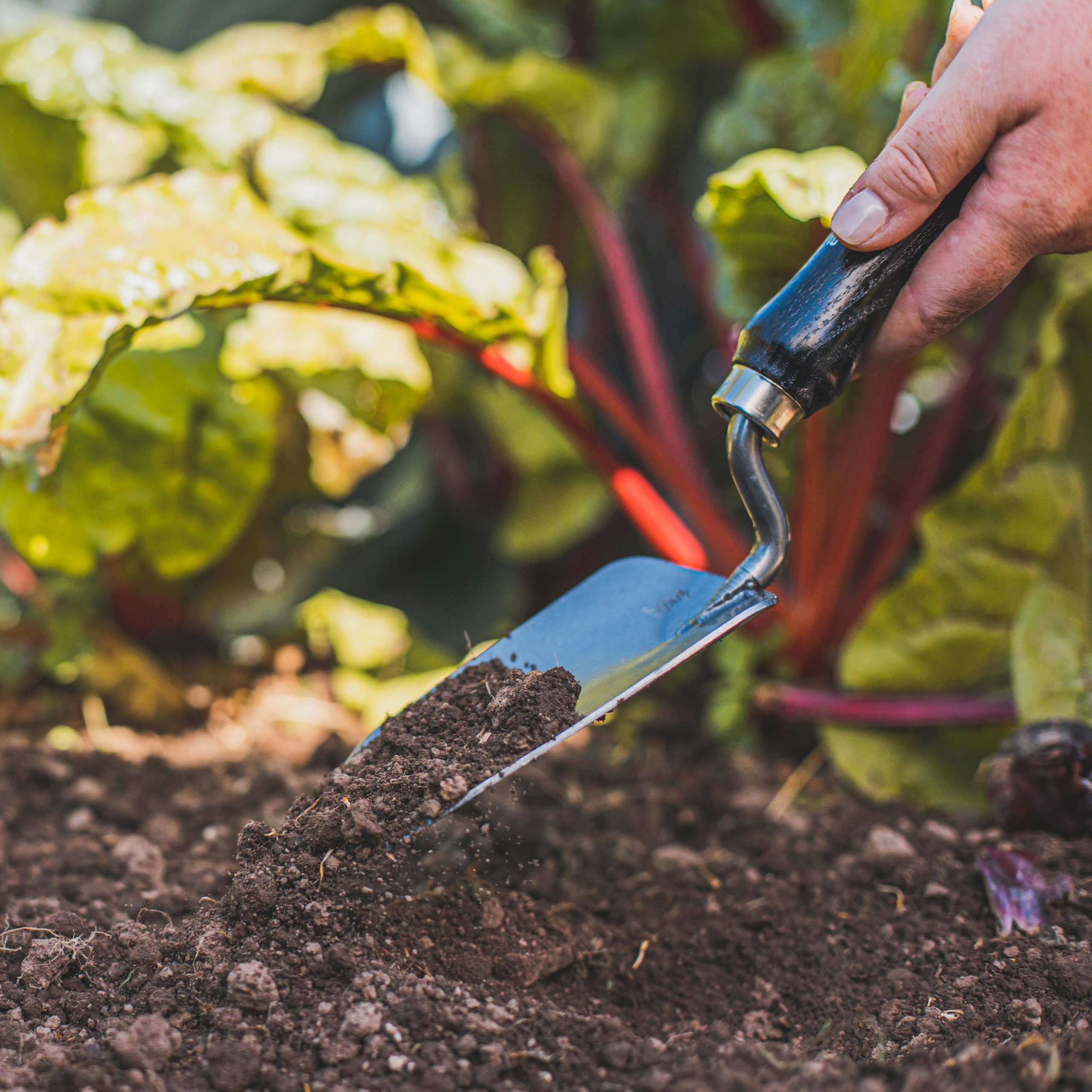 Saisonstart im Hochbeet Teaser Bild 2