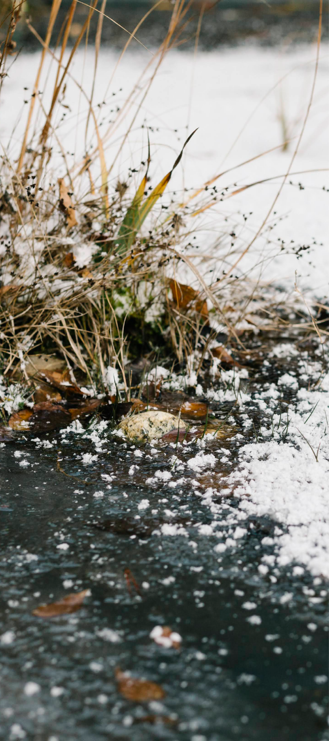 Produktfreisteller rechts