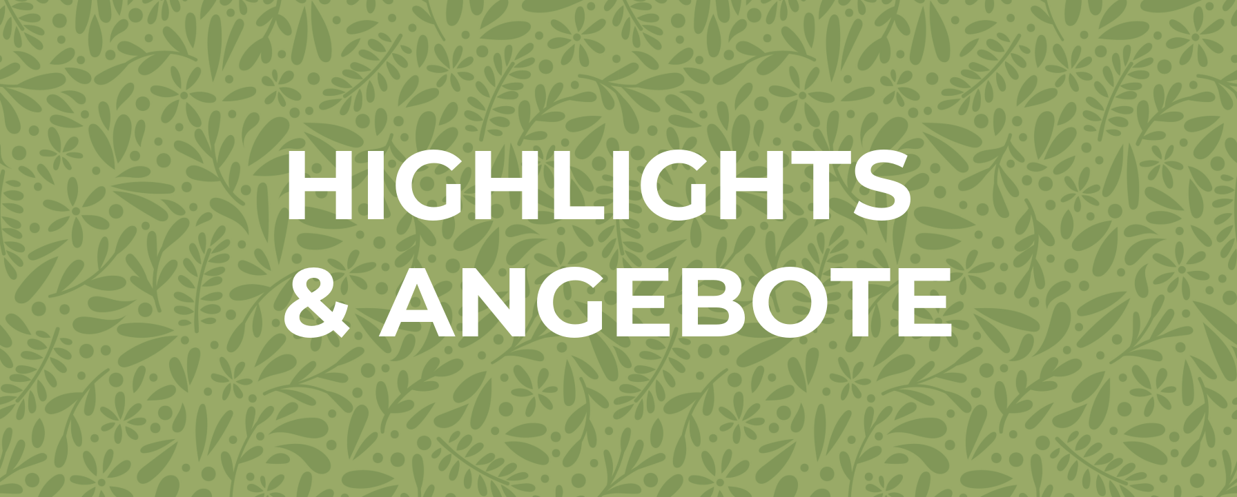 Unsere Highlights & Angebote