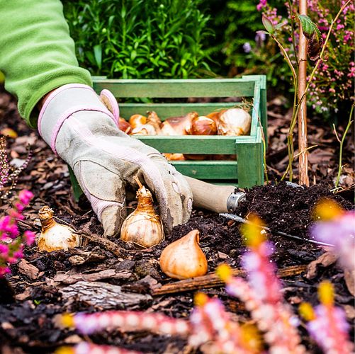 Gartenpflege im Herbst