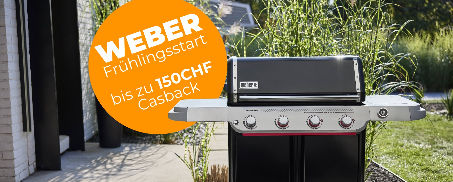 Weber Frühlingsstart