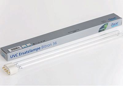 UVC Ersatzlampe Bitron 36 