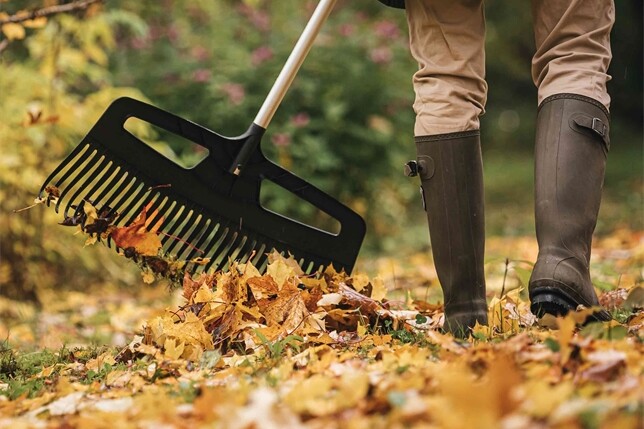 Gartenpflege im Herbst