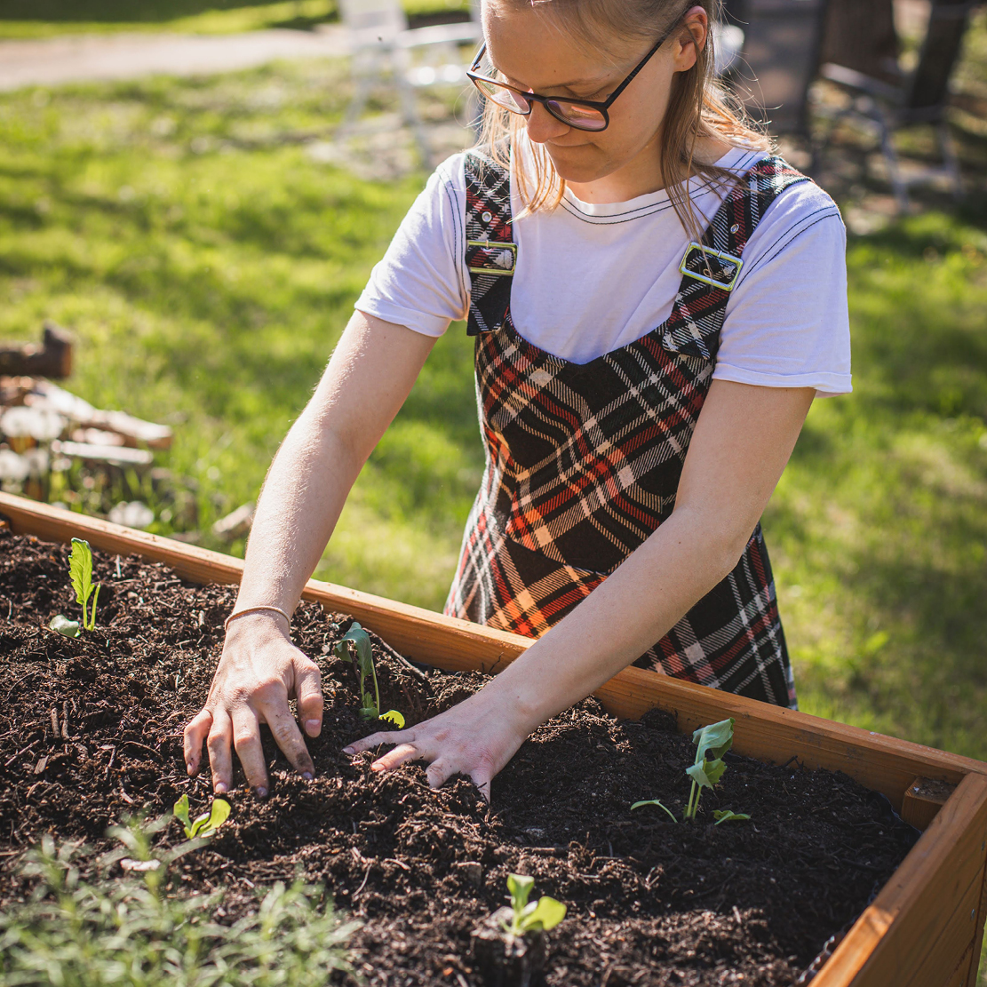 Saisonstart im Hochbeet Content Bild