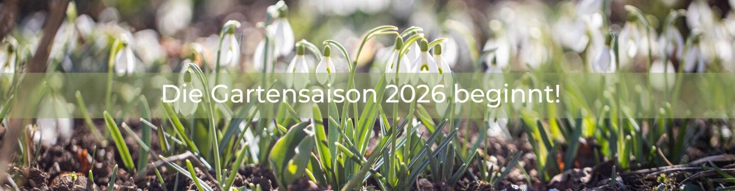Starten Sie jetzt in die neue Gartensaison