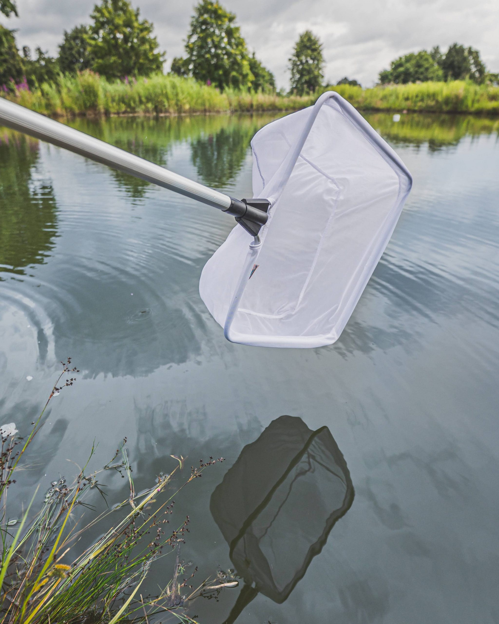 Der Teich im Frühling Teaser Bild 2