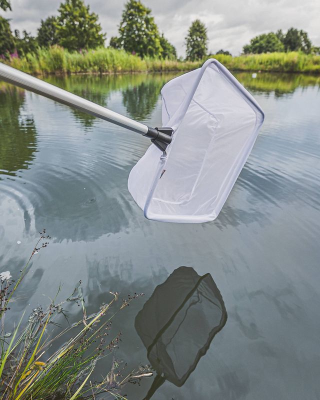 Der Teich im Frühling Teaser Bild 2