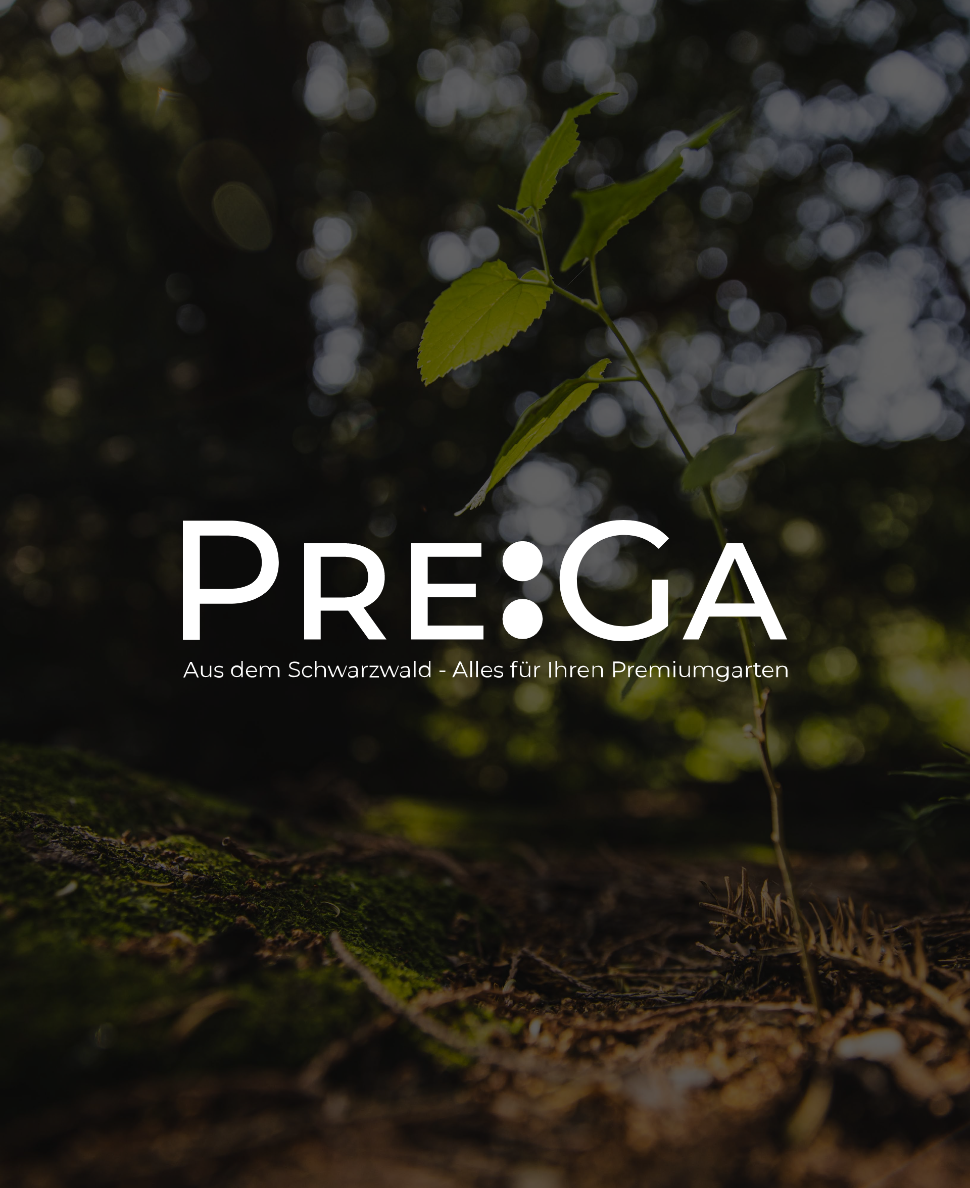 Zeitgemäße klare Ästhetik Content Bild