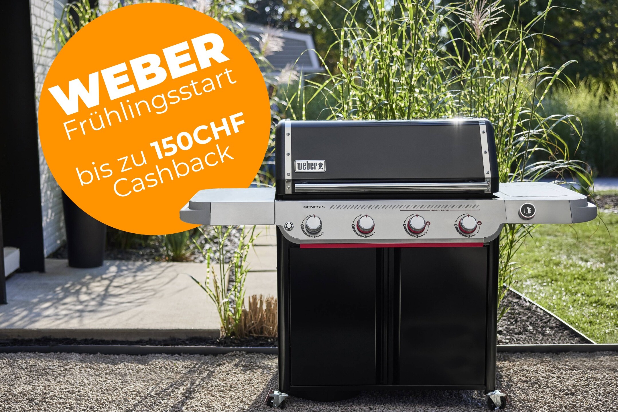 Weber Frühlingsstart