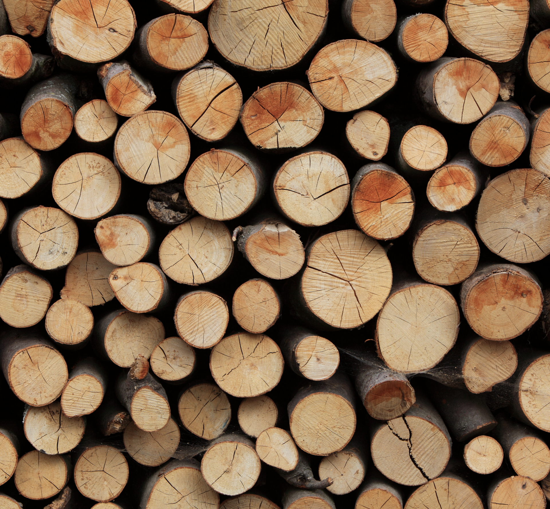 Zeitgemäße klare Ästhetik Teaser Bild 1