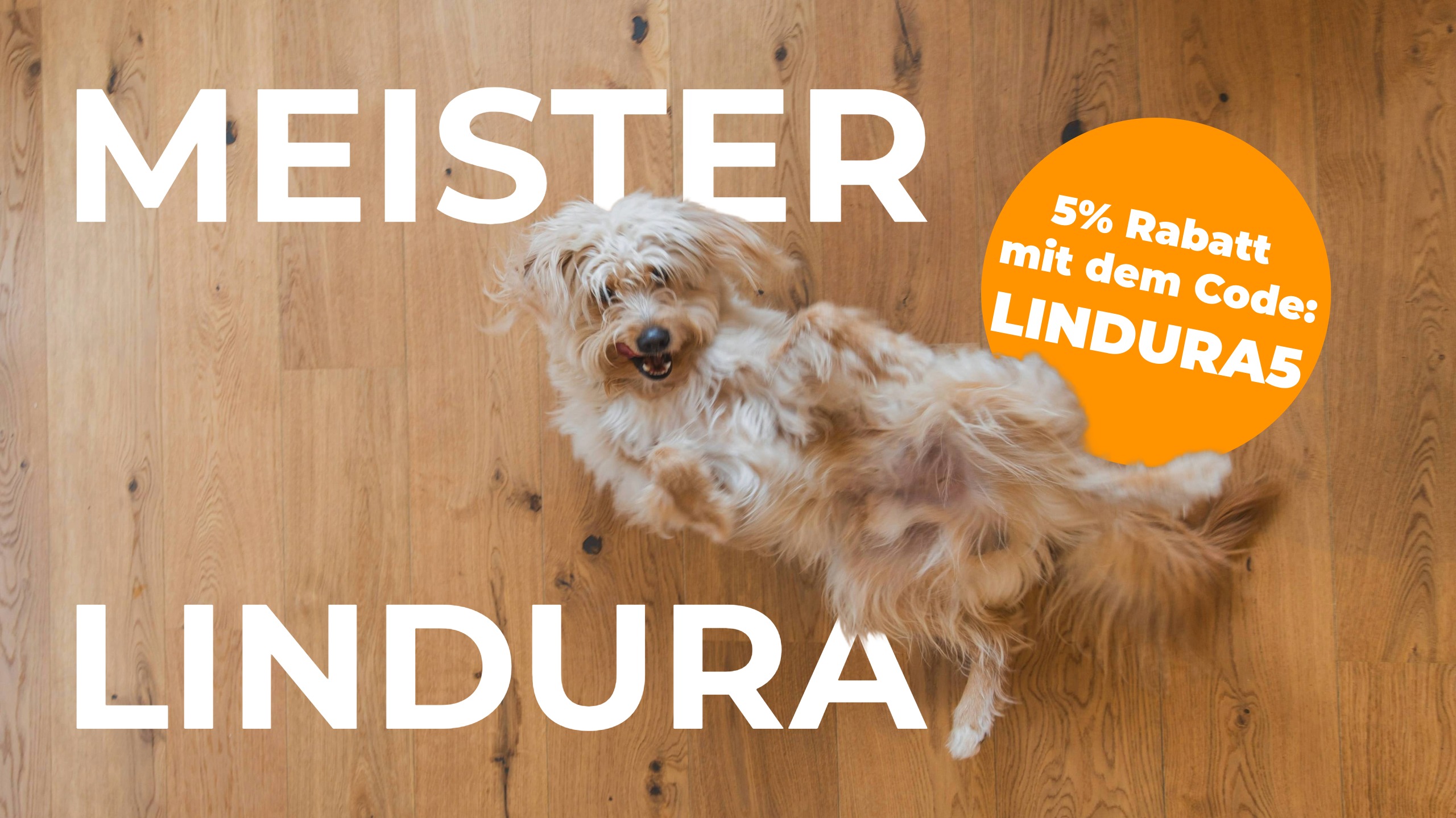 MEISTER Lindura Aktion