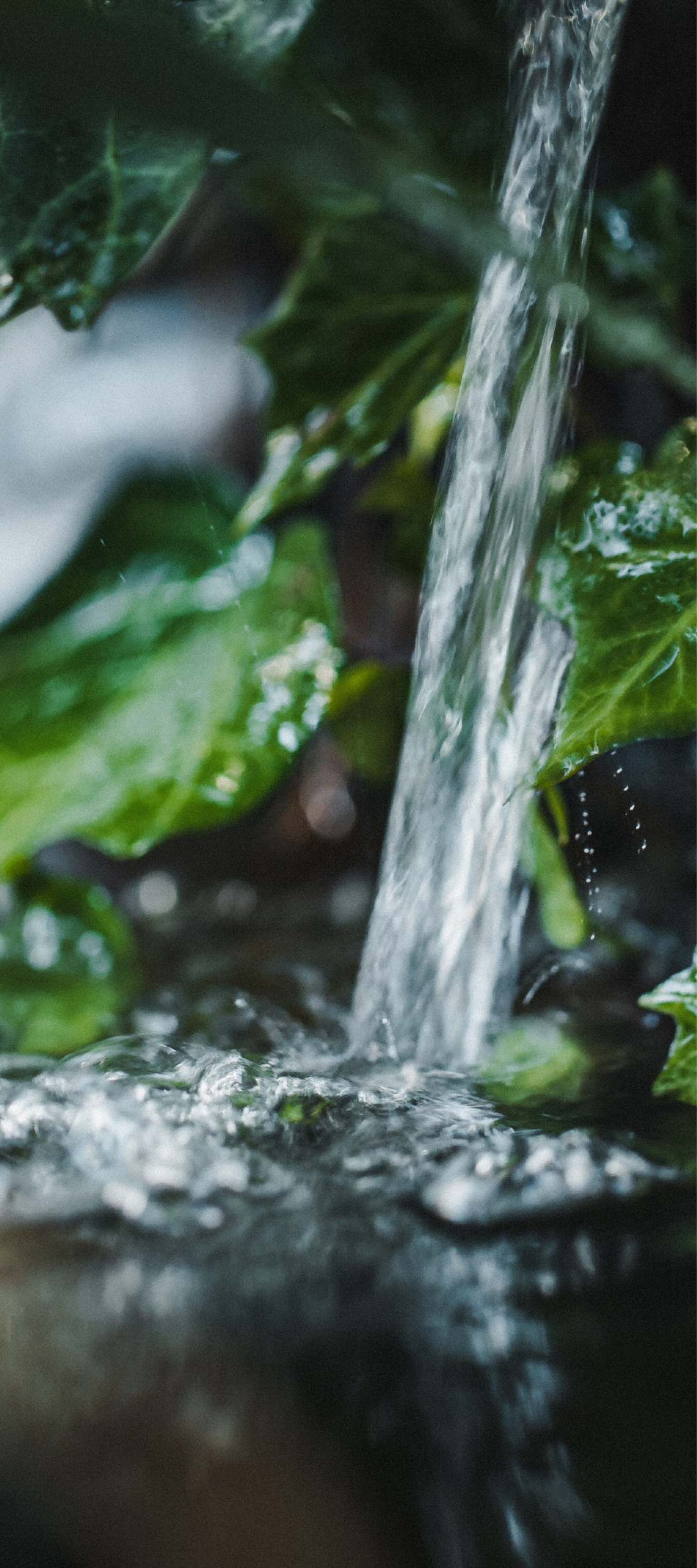 Produktfreisteller rechts