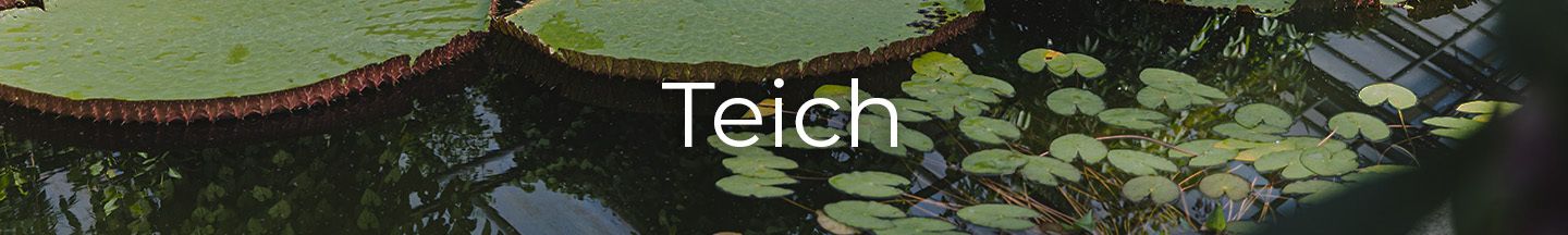 Teichsortiment