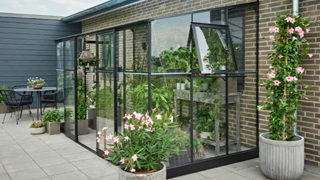 Halls Anlehngewächshäuser