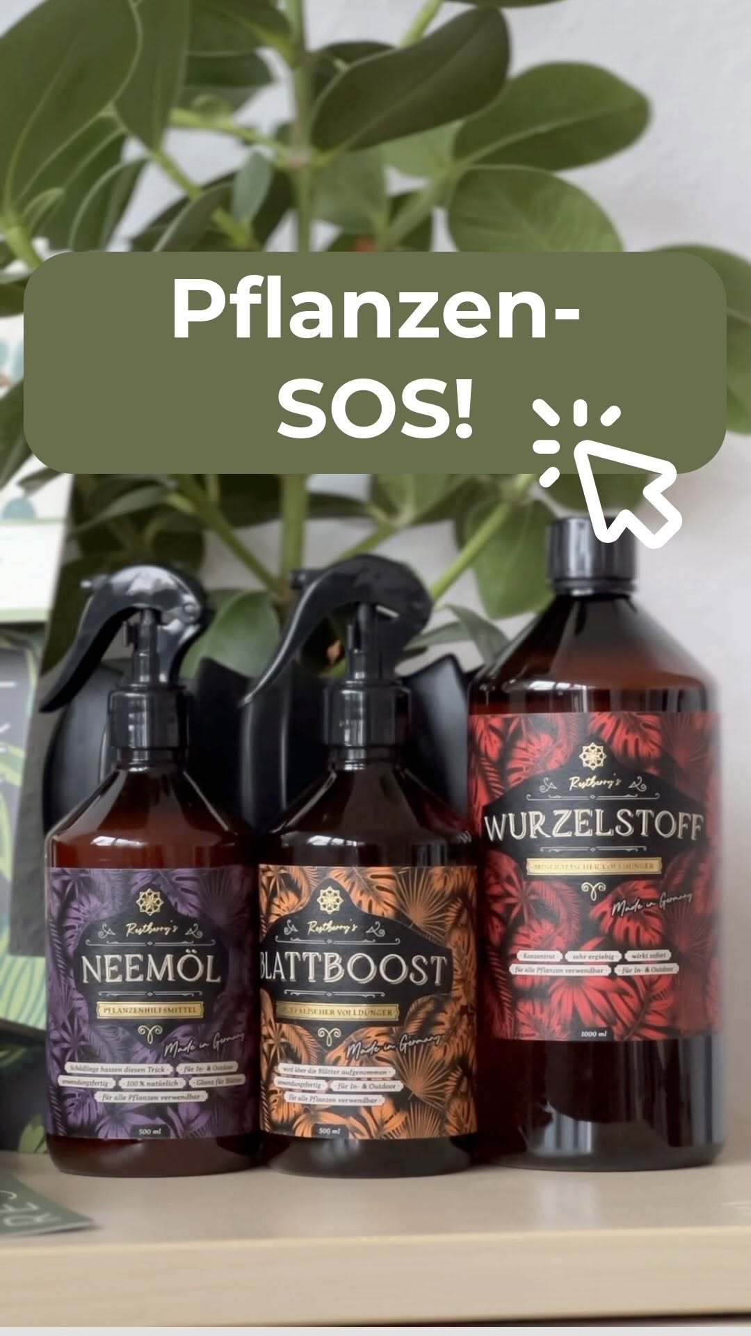 Vorschaubild Instagram-Video