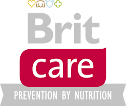 Brit Care-Logo