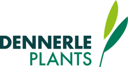 DENNERLE PLANTS-Logo