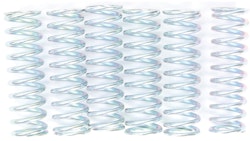 TRW Kupplungsfedernsatz MEF117-6