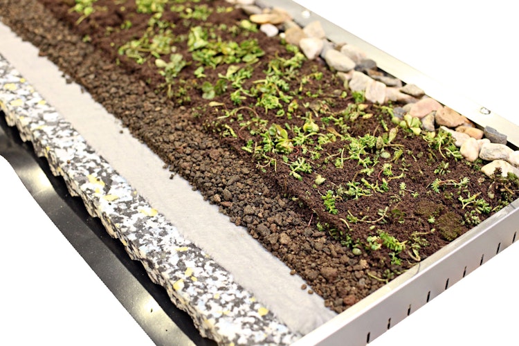 Skan Holz Dachbegrünungspaket für Carports Emsland und Wendland