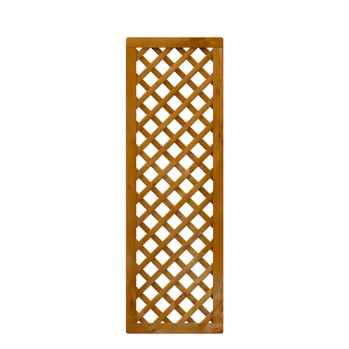 TraumGarten Rankgitter 59x179cm