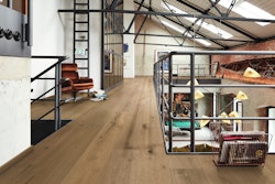 MEISTER Lindura-Holzboden HD 400 Eiche authentic greige gebürstet 8923 - ultramattlackiert 5G Dry®