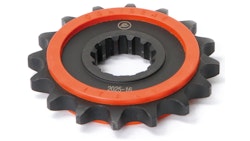 Ognibene Antriebsritzel 2025