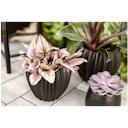 Vorschaubild Wikholm form Design Pflanzgefäß / Blumentopf Keramik schwarz ⌀ 18 x H 22 cm