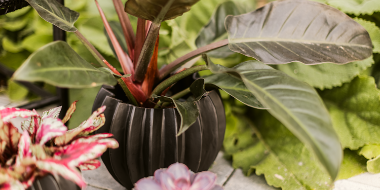 Plant Pot Niilo, schwarz