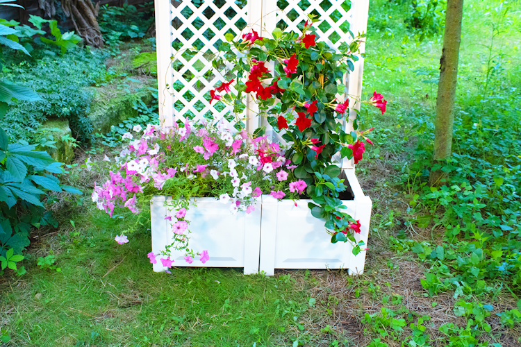 KHW Pflanzkasten klein mit Spalier 43 cm - 2er Set