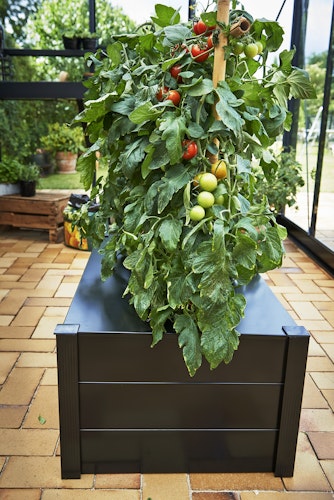 Juliana Pflanzkasten 95 x 55 x 37 cm schwarz ohne Boden