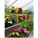 Vorschaubild KGT Pflanzwanne für Gewächshäuser