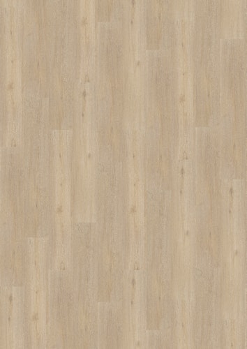 KWG Trend Comfort Nordmanneiche Designboden Solidtec 121,8x22,6 cm