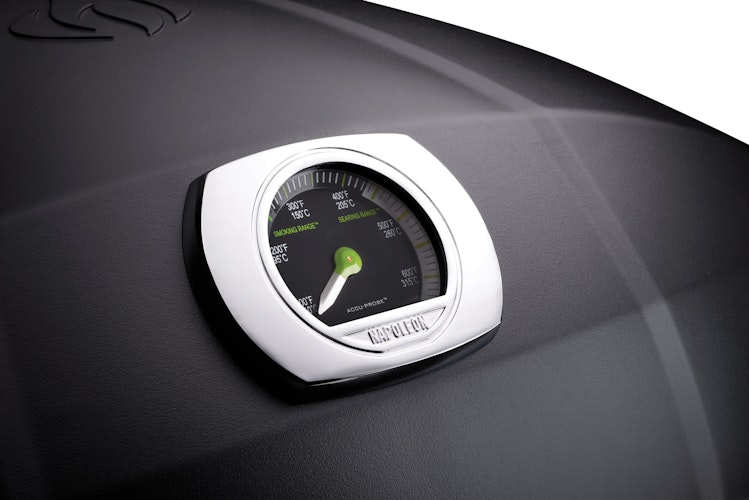 NAPOLEON Elektrogrill TRAVELQ PRO285