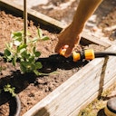 Vorschaubild Fiskars Bewässerungsschlauch 15m 1025935