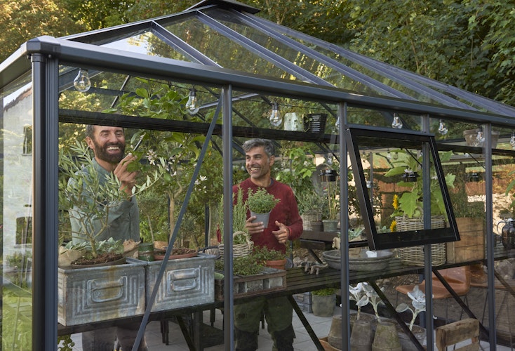 Juliana Gewächshaus Grand Oase anthrazit - 3 mm Sicherheitsglas - 25,6 m² inkl. gratis Fundamentrahmen im Wert von 849 €